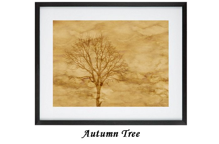 Autumn Tree